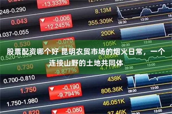 股票配资哪个好 昆明农贸市场的烟火日常，一个连接山野的土地共同体