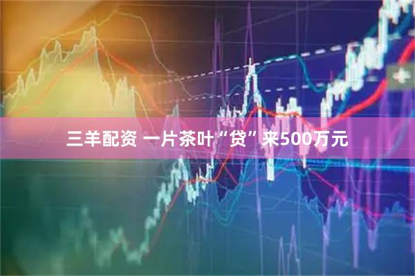 三羊配资 一片茶叶“贷”来500万元